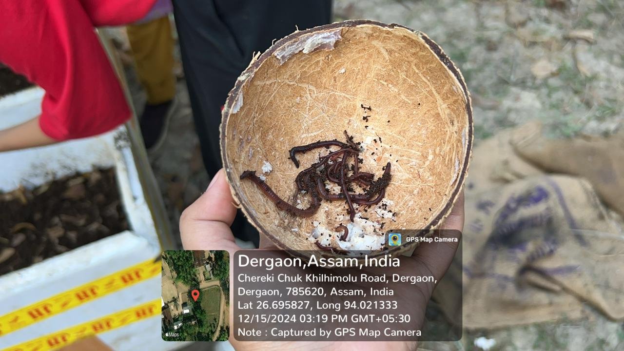 IMG 20241215 WA0068