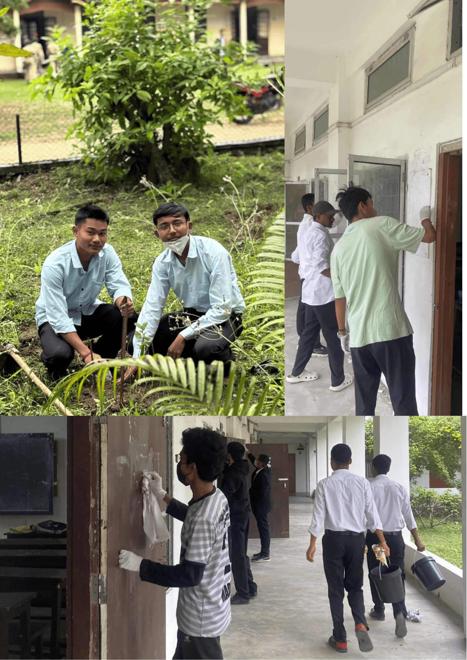 Cleanliness and Tree Plantation Drive by History Dept